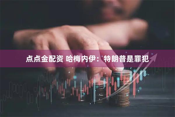 点点金配资 哈梅内伊：特朗普是罪犯
