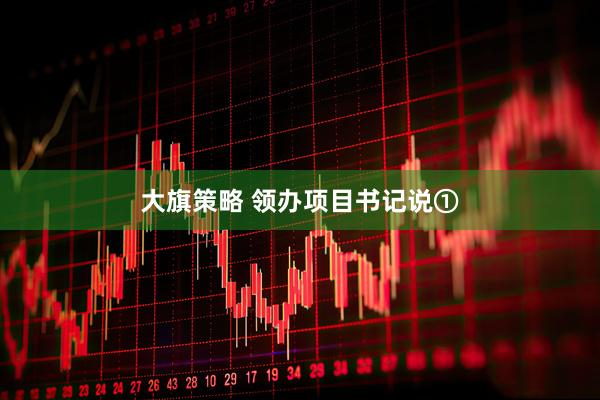 大旗策略 领办项目书记说①